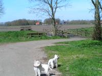 Klik op de foto voor groter formaat